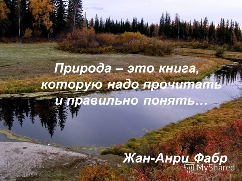 Кладовая солнца рассказы о природе михаил пришвин. Почему природа это книга которую надо прочитать и понять. Призыв к чтению. Правильный выбор книга. Природа это книга которую надо прочитать и правильно.