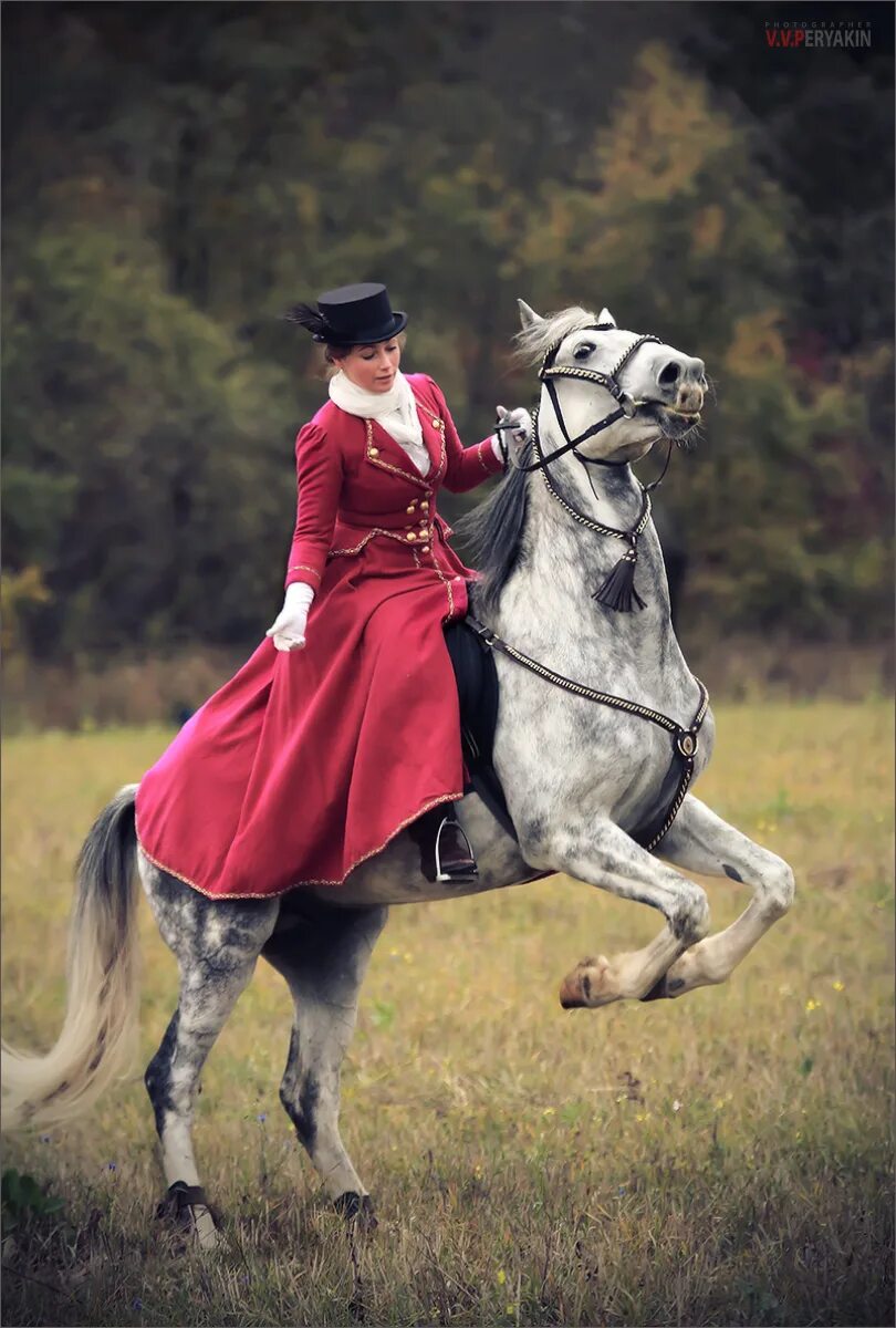 девушка с лошадью. барышня на лошади. фотосессия с лошадью в платье. верхом на лошади. барышня на лошади.