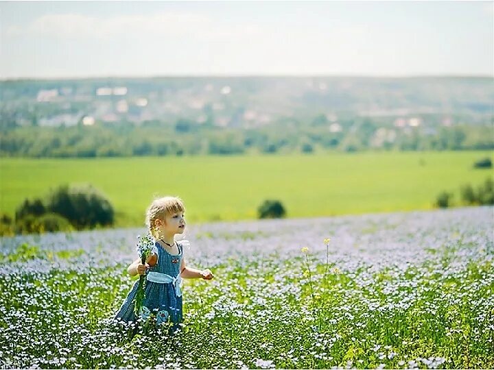 Мать солнце природа родина. Фотосессия в поле льна. Дети в поле. Цветущее поле льна. Фотосессия в льняном поле.