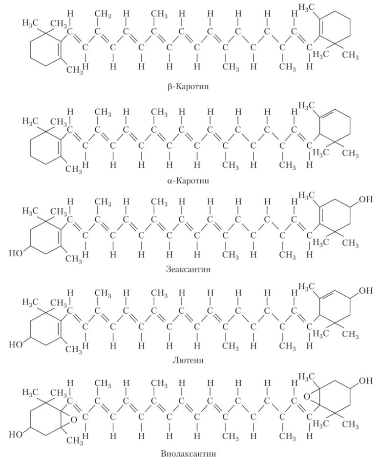 Пигмент каротиноиды. Формула каротиноидов. Структурная формула каротиноидов. Бета каротин структурная формула. Структурная формула бета ксантофилла.