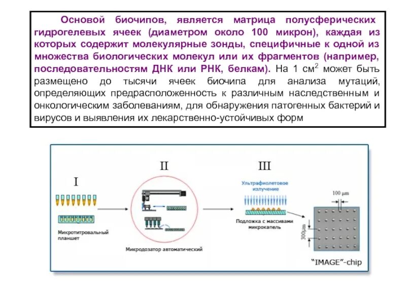 Основы микро. Матричные биочипы. Структура биочипа. Принцип действия биочипов. Гидрогелевый биочип.