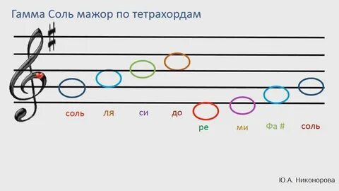 Гамма 1 класс