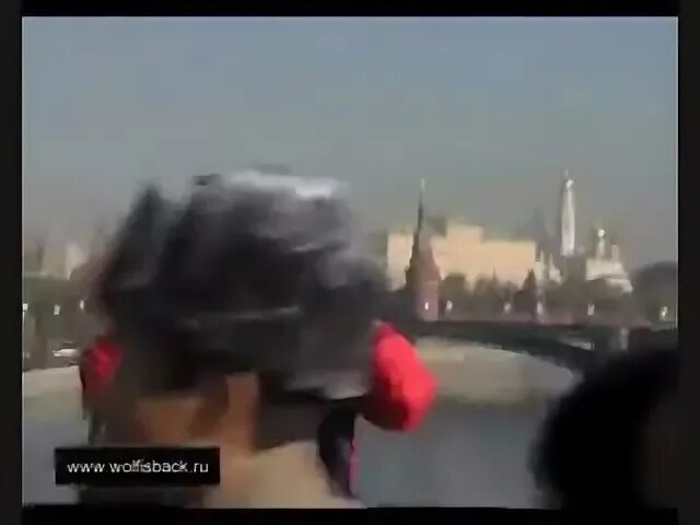 Видео нападения в москве. Волк в центре Москвы. Говооио Москва напали германские.