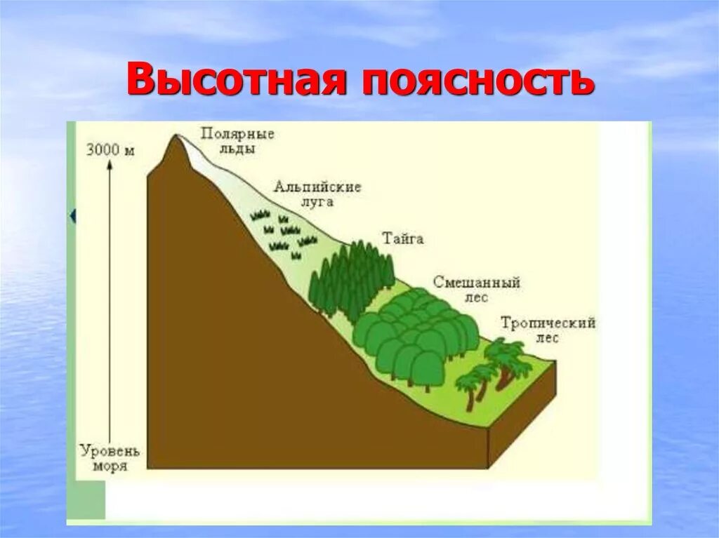 Высотная поясность в полупустыне. Высотная географическая поясность. Вертикальная поясность растительности. Схема ВЫСОТНОЙ поясности России.
