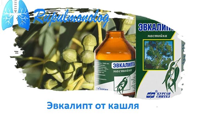 Как делают ингаляцию эвкалиптом