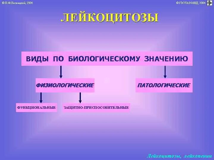 Лейкоцитоз физиологический и патологический. Виды лейкоцитозов. Виды лейкоцитозов по биологическому значению. Виды лейкоцитозов патофизиология.