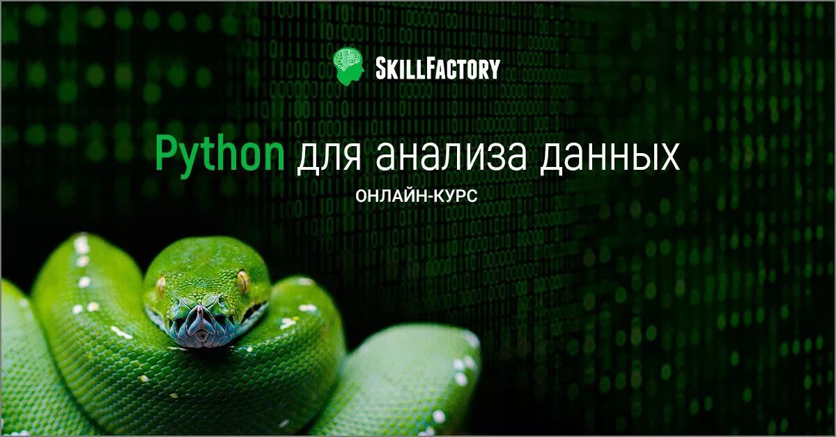 Курсы питон. Пайтон для анализа данных. Skillfactory Пайтон. Анализ данных питон. Что такое анализ данных Phyton.