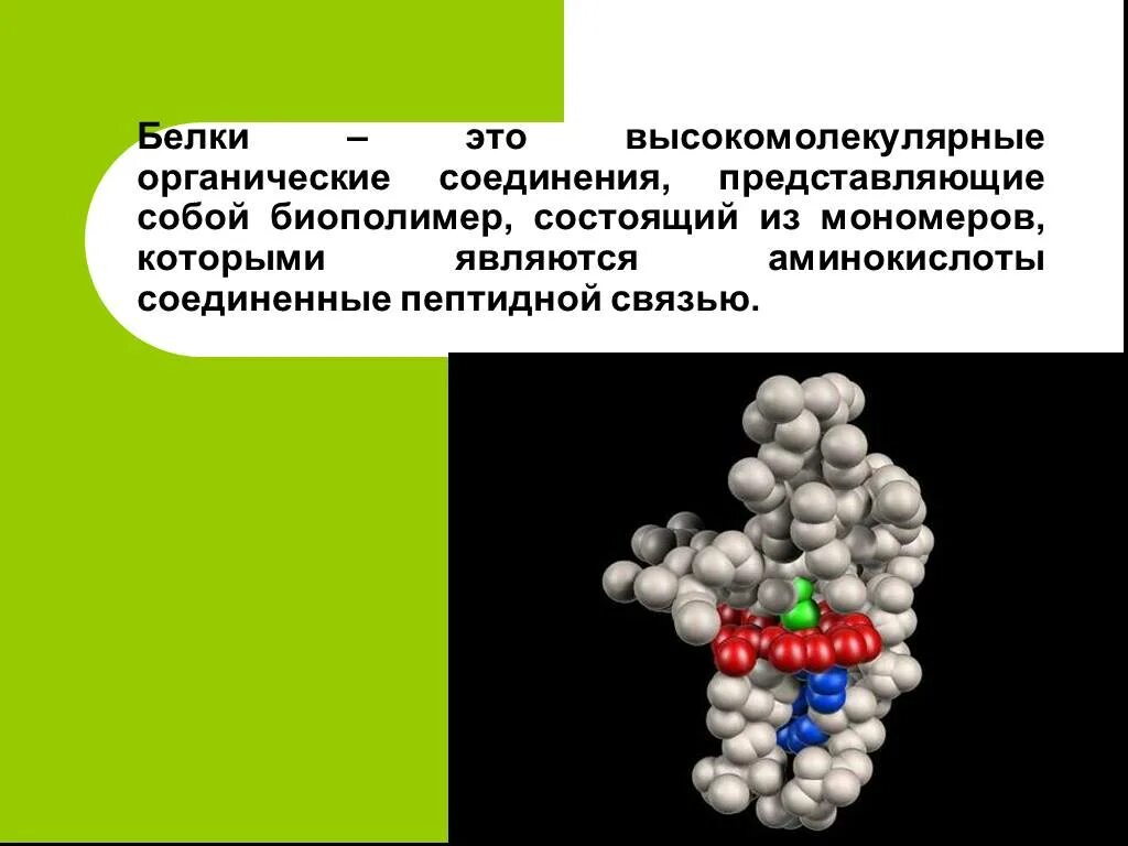 Белки биологические полимеры мономерами. Белки это высокомолекулярные соединения. Белки органические вещества. Белки высокомолекулярные органические соединения. Белки представляют собой.