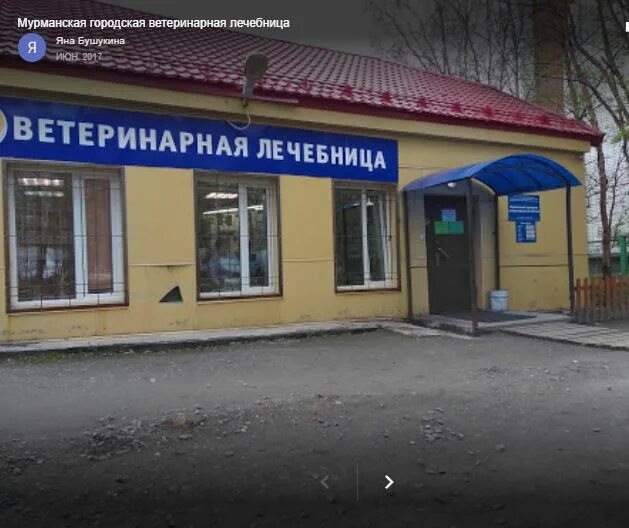 книповича 27 мурманск. ветлечебница мурманск книповича 51. академика книповича 25 мурманск. сббж мурманск книповича. ветеринарная клиника мурманск 51 а.