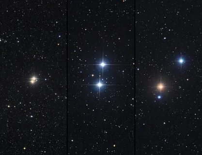They are stars
