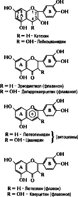 Накопление водорастворимых пигментов антоцианов присоединение молекулы. Лейкоцианидин формула. Катехин. Лейкоантоцианидин формула. Антоцианы формула структурная.