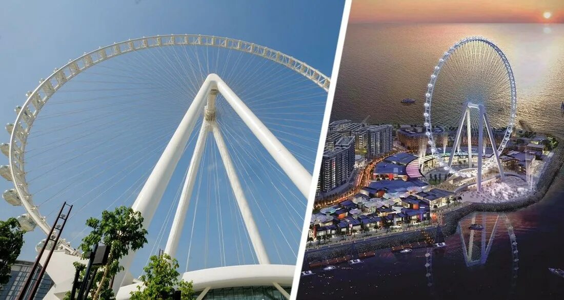Колесо обозрения ain dubai. Оаэ колесо обозрения дубай. Самое большое колесо дубай. Око дубая колесо обозрения. Колесо обозрения дубай ain dubai.