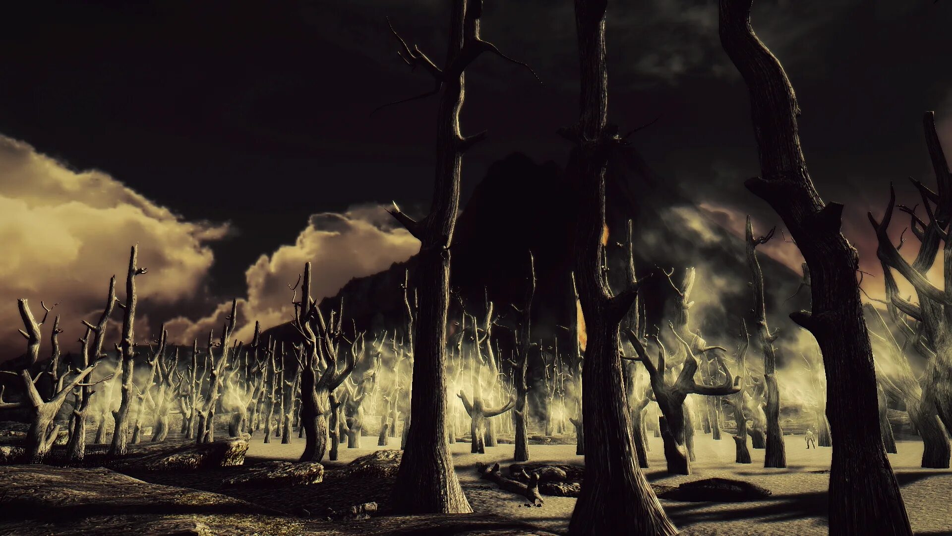Мир живых и мир мертвых. Мертвый лес (dead forest) боракай. хельхейм земля мертвых дерево. мертвый лес арт. мертвое дерево.