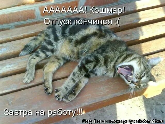 Видео работаете а я в отпуске прикол. Ура отпуск. Я спокойна я жду отпуск. Видео работаете а я в отпуске прикол. С первым днем отпуска.