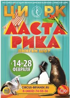 Брянский цирк расписание