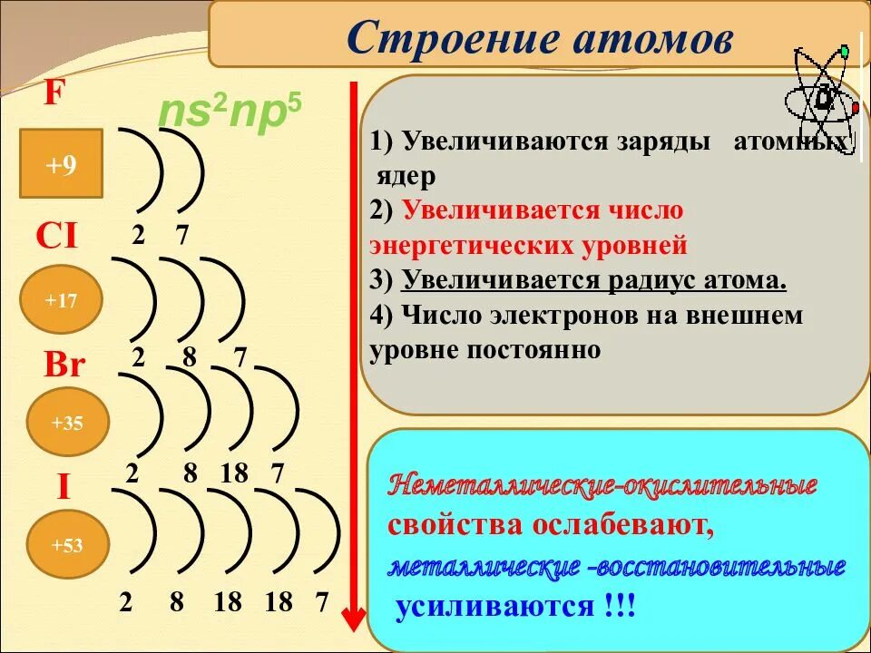 В порядке увеличения радиусов их атомов. В порядке увеличения радиусов их атомов