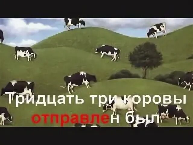 Караоке для детей лево право. Слова песни тридцать три коровы. 33 коровы караоке со словами. 33 коровы караоке. Караоке 33 коровы со словами.