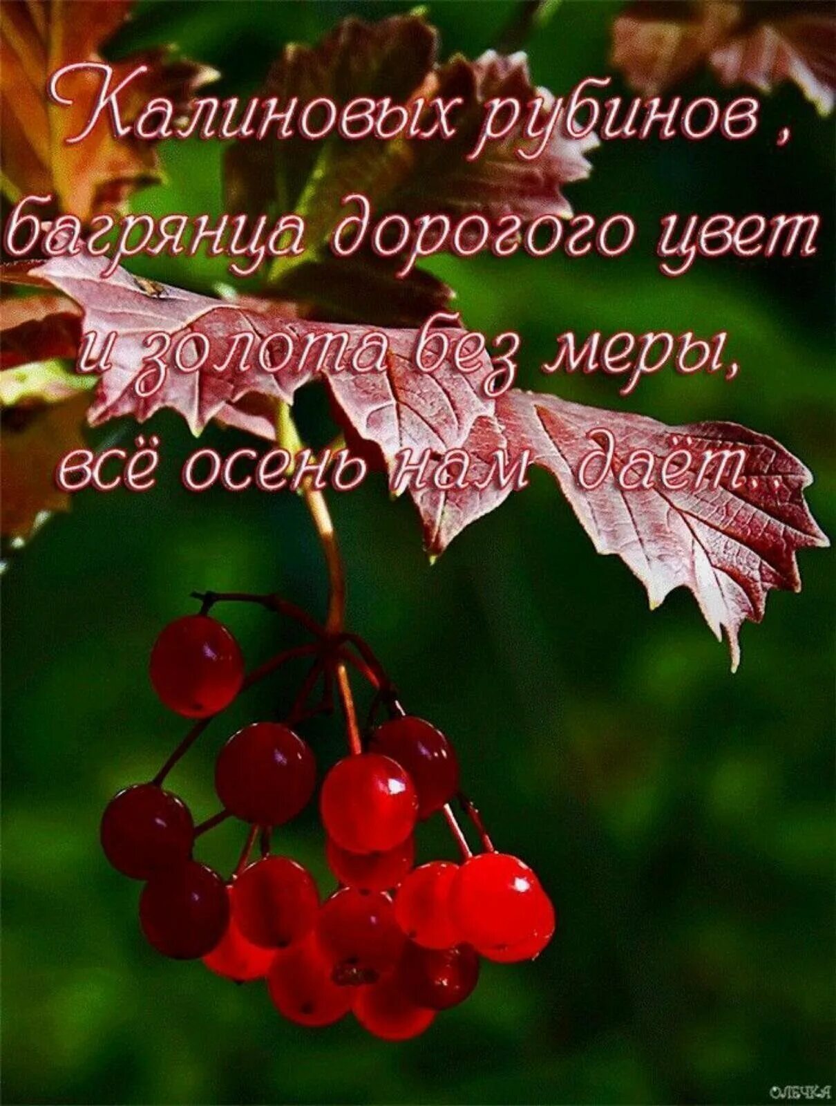 С добрым осенним мудрые. Мудрые пожелания с добрым утром осенние. Открытки с добрым осенним утром с Цитатами. Благословенного осеннего дня. С добрым осенним утром Мудрые слова.