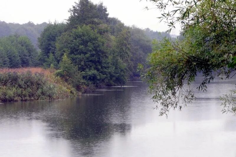 Дождь на речке. Речка во время дождя. Дождь на реке фото.