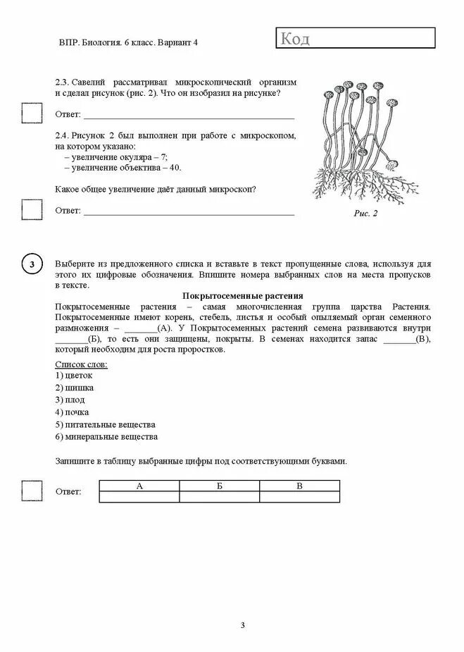 Решу впр 6 класс биология 2023 год