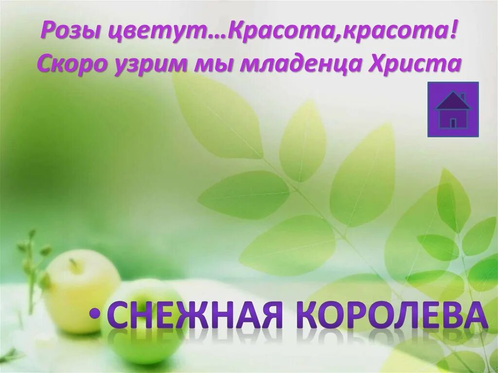 Розы кая и герды. Цветение роз. Садовые розы. Blossom red tb. Pink roses aesthetic.