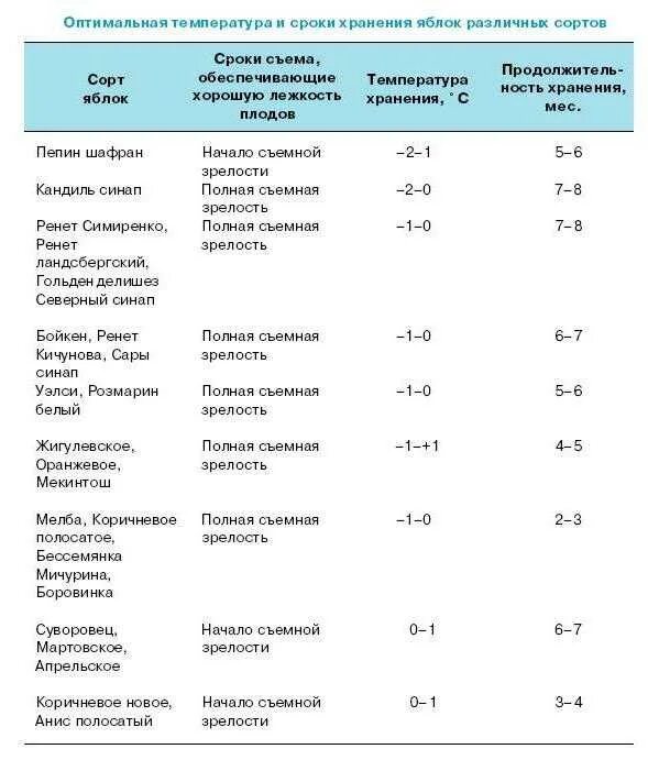 Сколько яблок в холодильнике. Какая температура хранения яблок в хранилище. Температура хранения картофеля на складе. Какая температура оптимальна для хранения картофеля. Сроки годности овощей и фруктов таблица.