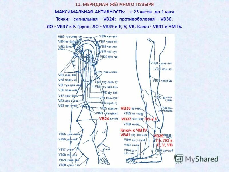 Значение вб. Меридиан желчного пузыря акупунктура. Меридианы человека схема и точки акупунктуры. Меридиан печени в китайской медицине точки. Акупунктура меридианы тела человека схема.