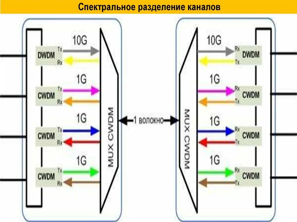 Разделение описание серий. Разделение описание серий. Разделение описание серий. Разделение описание серий. Книга о разделенном мире.
