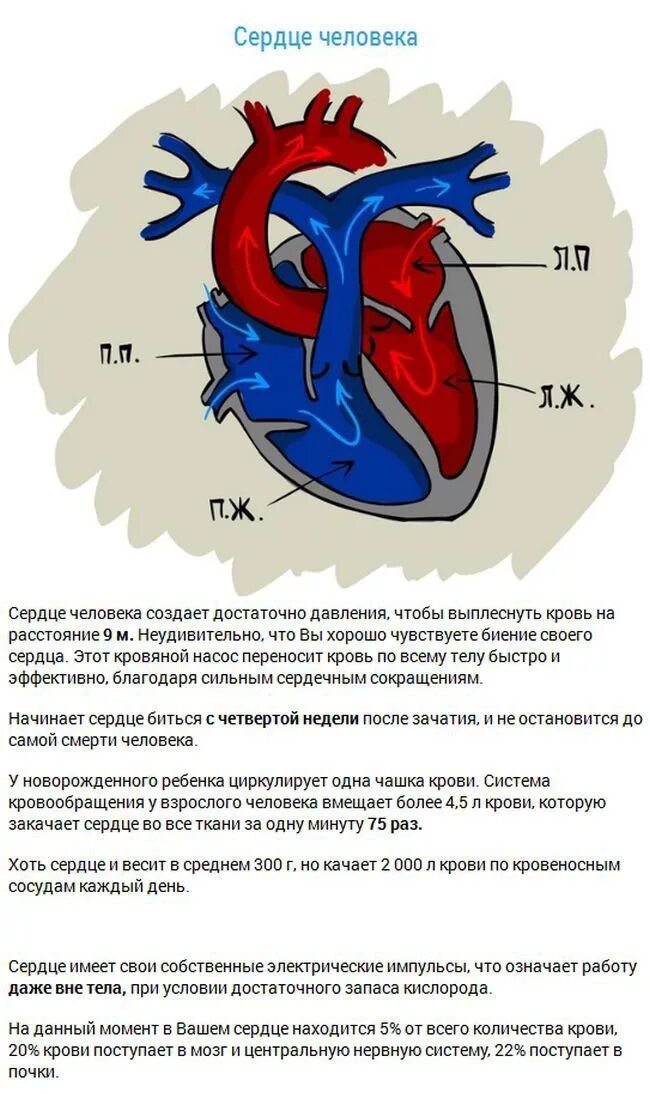 Спрайт сердечко. Сердечки из майнкрафта 10 штук. Игра сколько сердец. Игра сколько сердец. Сердечко из майнкрафта.