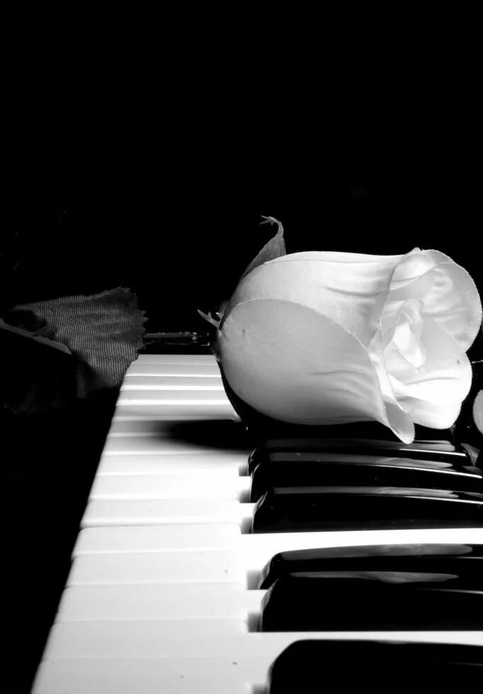 Музыка белый мир. Пианино в черном белом. Черное белое. Черный рояль на белом. Фотосессия с роялем.