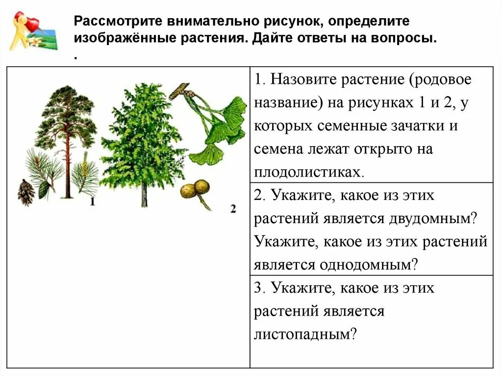 Текст если вы будете внимательно рассматривать цветы. Рассмотри внимательно рисунок и ответь на вопросы. Рассмотрите рисунок и дайте ответы на вопросы. Рассмотрите изображение и дайте ответ на вопрос.. Внимательно рассмотри рисунок. Что на нем изображено?.