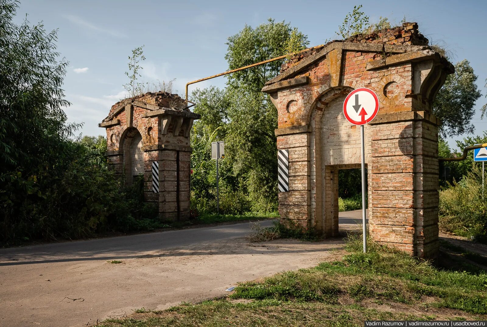 Сохранившая в основном