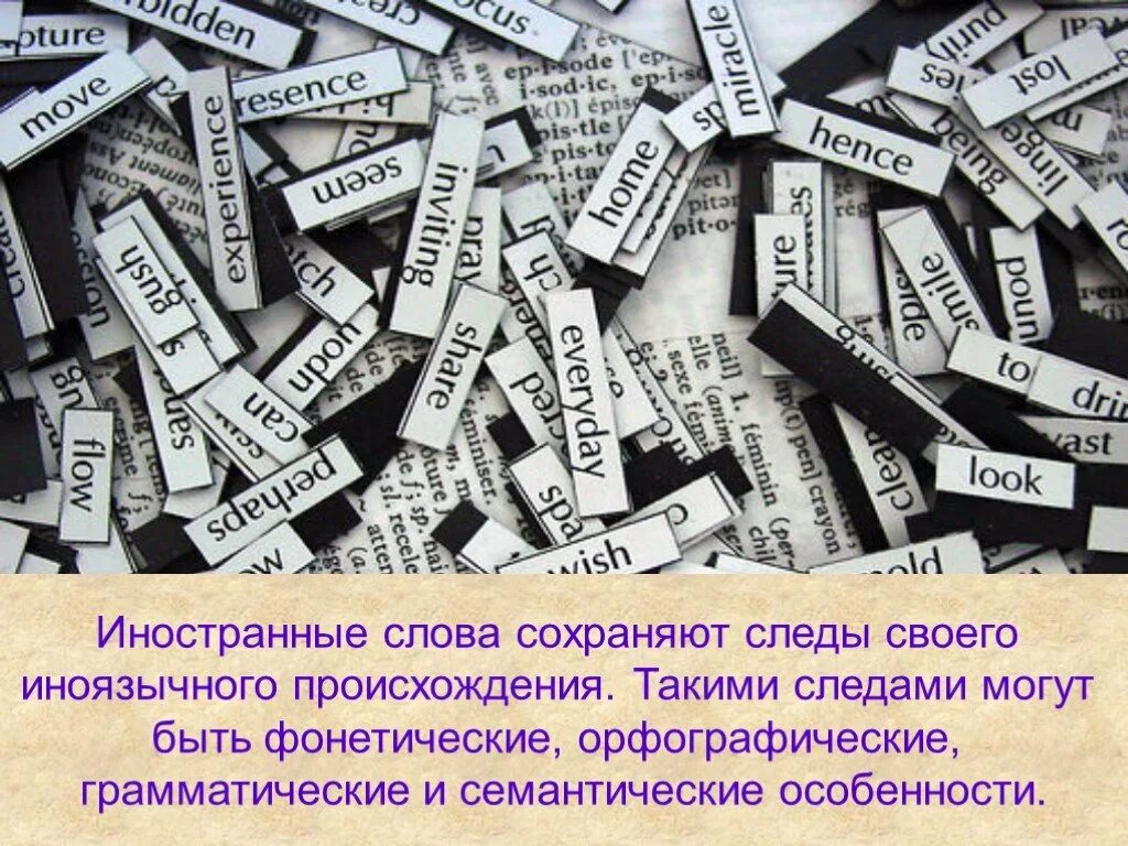 Иностранные слова. Иностранные слова картинки. Иностранные словечки. Зарубежные слова. Иностранные слова книга