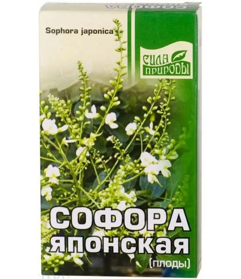 Аптеки настойка софоры японской. Софора японская лекарство. Софора японская плоды (1 кг). Софора японская растение. Экстракт софоры японской.