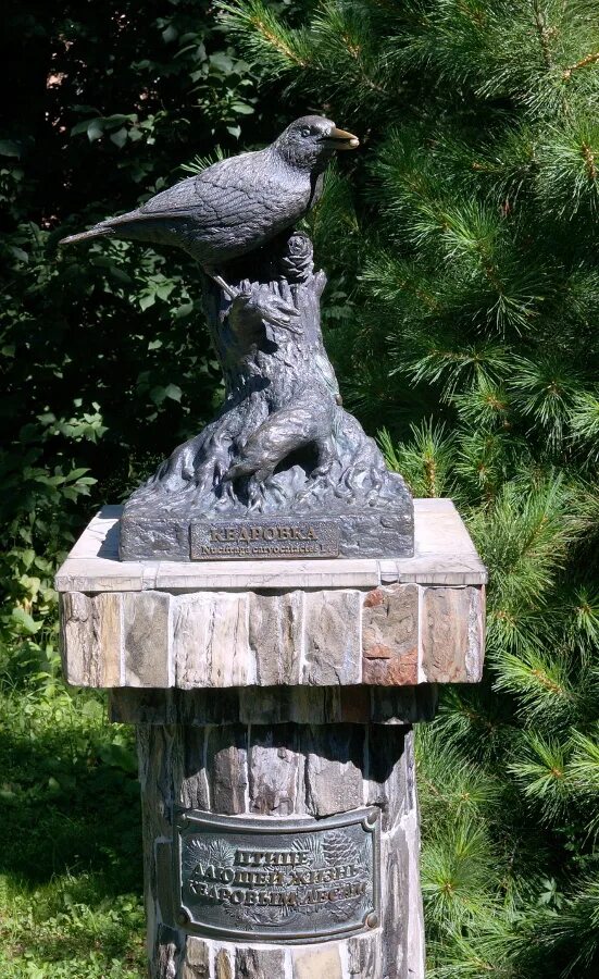 Памятник птице гамаюн калуга. Птичка кедровка томск памятник. Птичка кедровка томск памятник. Памятник евразии кедровка. Город с памятником кедровке 5 букв.