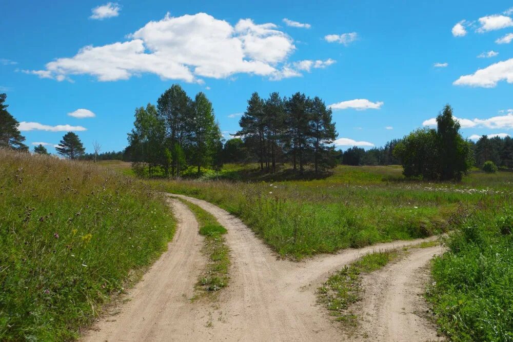 В родных местах дорога. Развилка дороги. Развилка реки. Проселочная дорога Развилка. Две дороги.