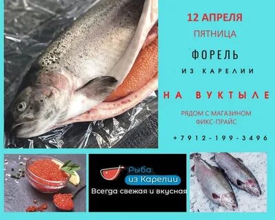 Любовь декабрь рыбы