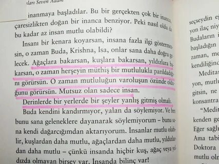 Martıları Seven Adam 