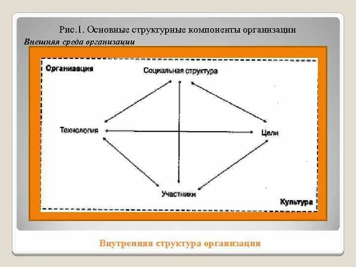 Структурные элементы организации. Компоненты организации. основные компоненты организации. компоненты организационной формы.