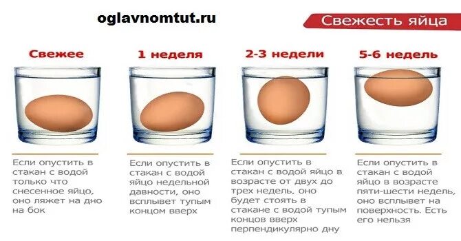 Можно ли есть всплывшие яйца. Как проверить яйца на свежесть. Как узнать свежесть яиц. Свежесть яиц в воде. Как определить свежесть яйца в воде.