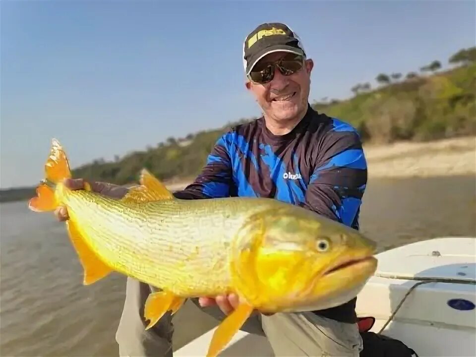 Трофейная рыбалка в южной африке. Pamlico sound fishing reports. Парана рыбалка. Река парана. Парана рыбалка.