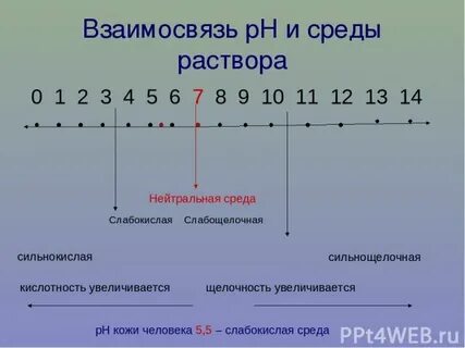 Нейтральная среда раствора