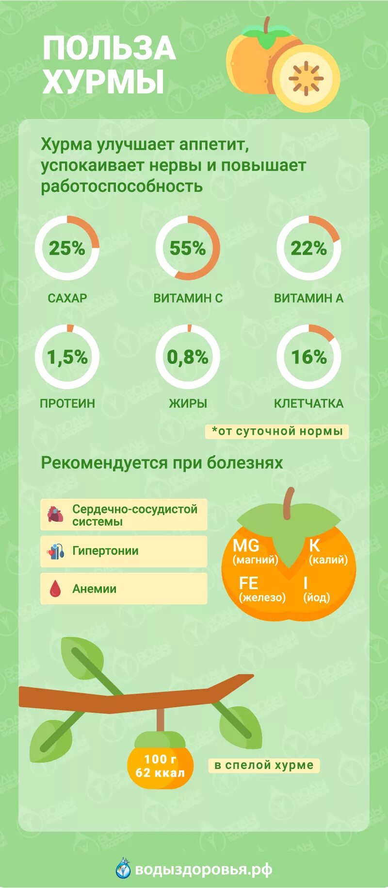 Польза хурмы. Хурма витамины. Полезные свойства хурмы для организма. Хурма для чего полезно