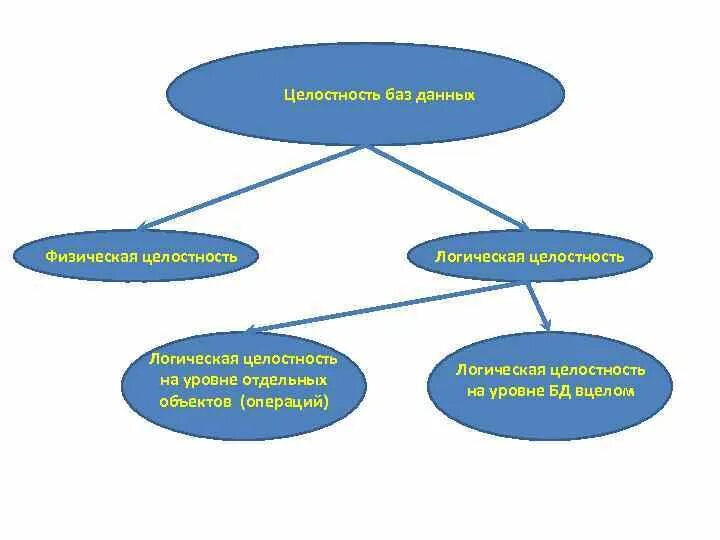 Целостность базы данных. Логическая целостность БД. Понятие целостности данных в БД. Физическая и логическая целостность базы данных. Организация целостности данных