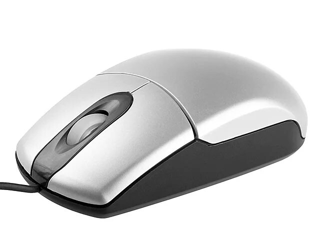 Digital mouse