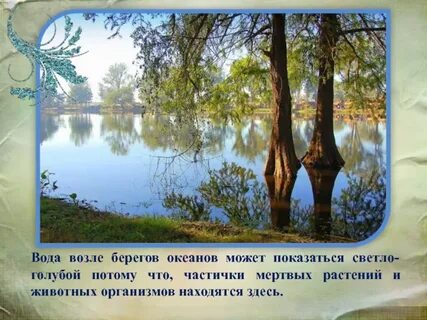 Вблизи берега предложение