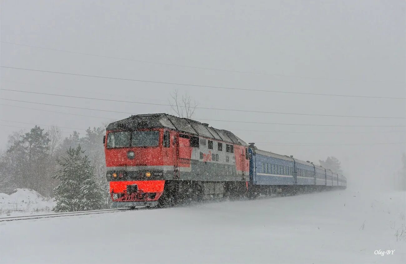 Поезд береза минск