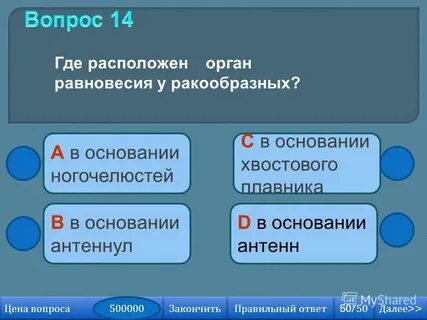 Свило 2