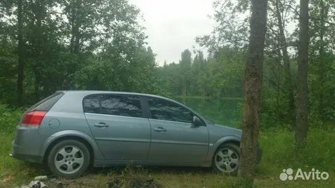 Авито новгород великий область авто