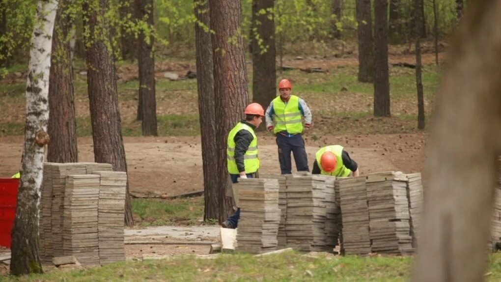 Ельцовский парк новосибирск. Заельцовский парк новосибирск 2023. Заельцовский парк после реконструкции. Заельцовский парк новосибирск после реконструкции. Заельцовский парк новосибирск 2022.